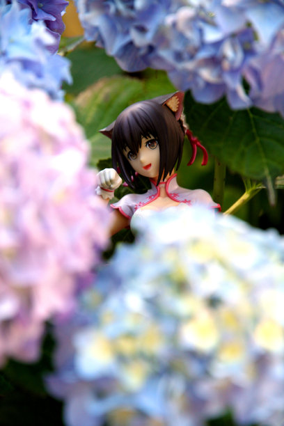 隐藏的花图片下载