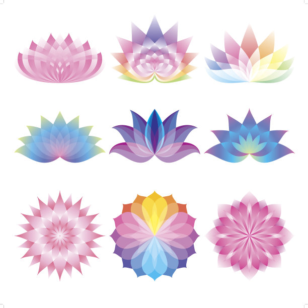 美丽的莲花集图片下载