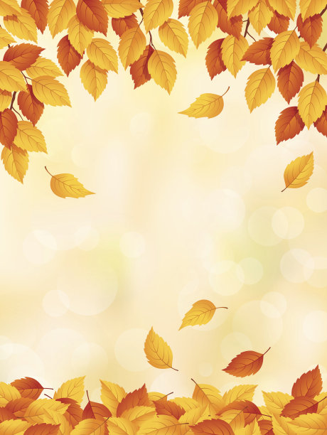 画秋天的落叶由黄变红素材图片