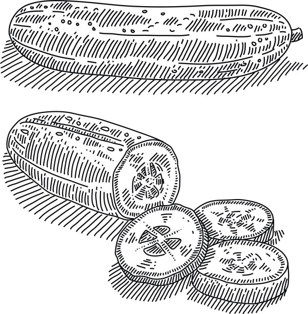 黄瓜画图片下载