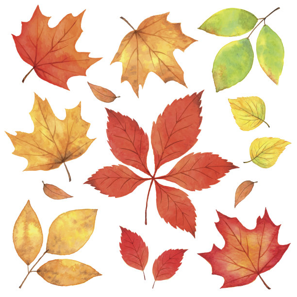 秋叶水彩画图片下载