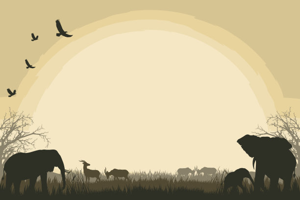 非洲狩猎背景与大象和羚羊图片下载