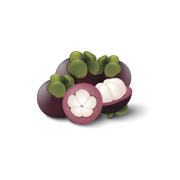 山竹果图片下载