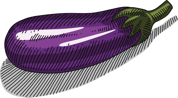 茄子画图片下载