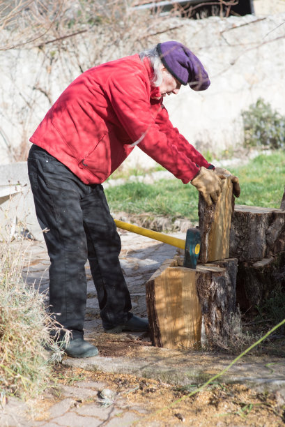 高中生砍树图片下载
