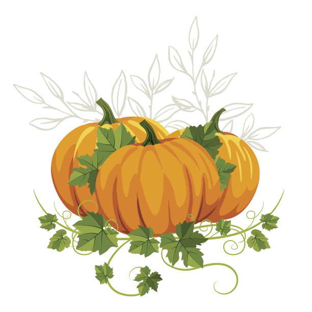 秋天的南瓜在白色的背景图片下载