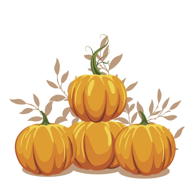 秋天的南瓜在白色的背景图片下载