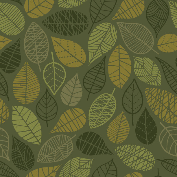 无缝装饰花卉图案-插图素材图片