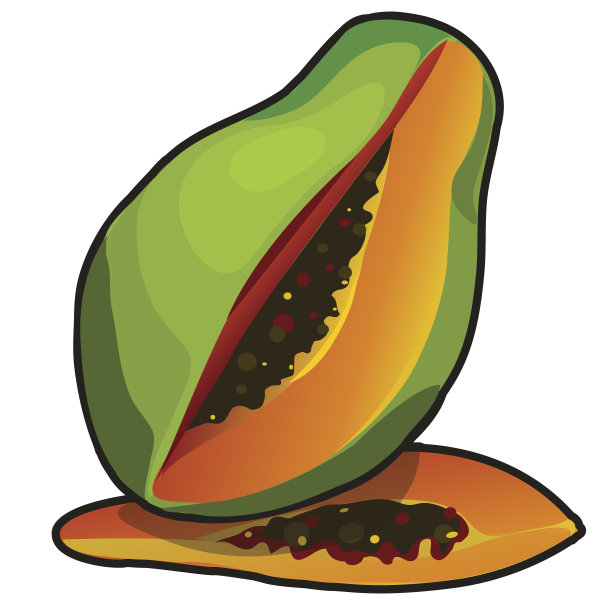 卡通风格的异国水果木瓜图片下载