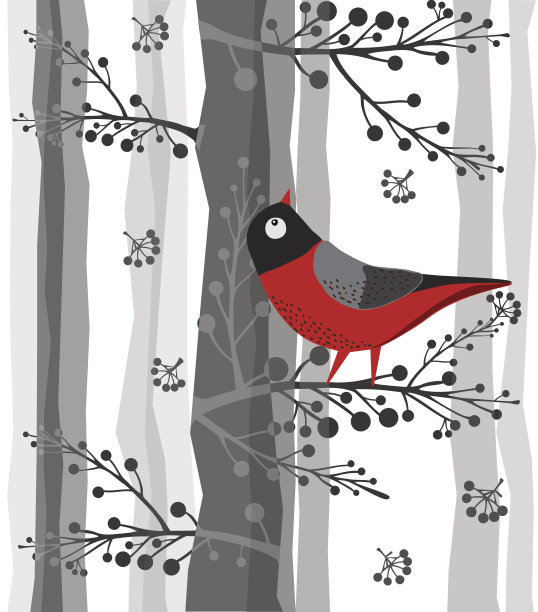 树枝上的鸟，坐在树上，森林，冬天图片下载