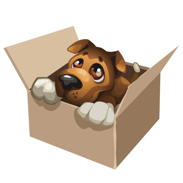 可怜的流浪狗可爱的纸箱里图片下载