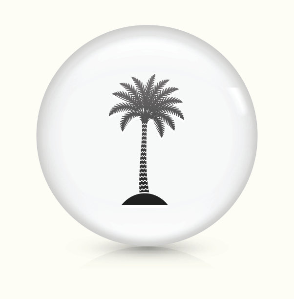 棕榈树图标上的白色圆形矢量按钮图片下载