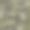这种无缝的图片下载