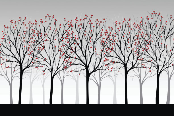 摘要森林图片下载