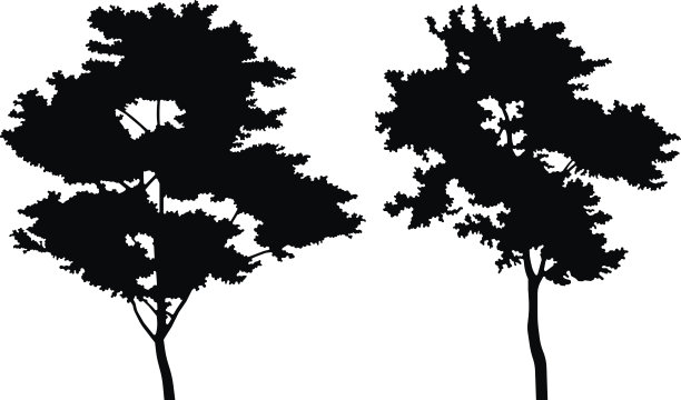 树的轮廓图片下载