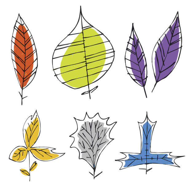 手绘的叶子图片下载