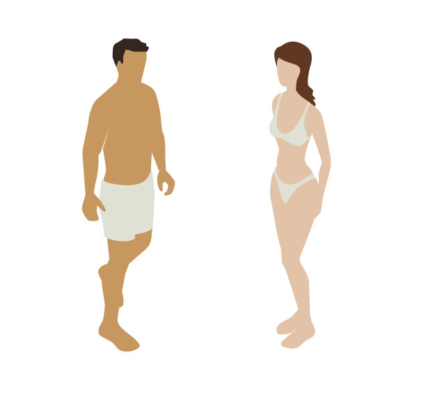 内衣情侣Spot插画图片下载