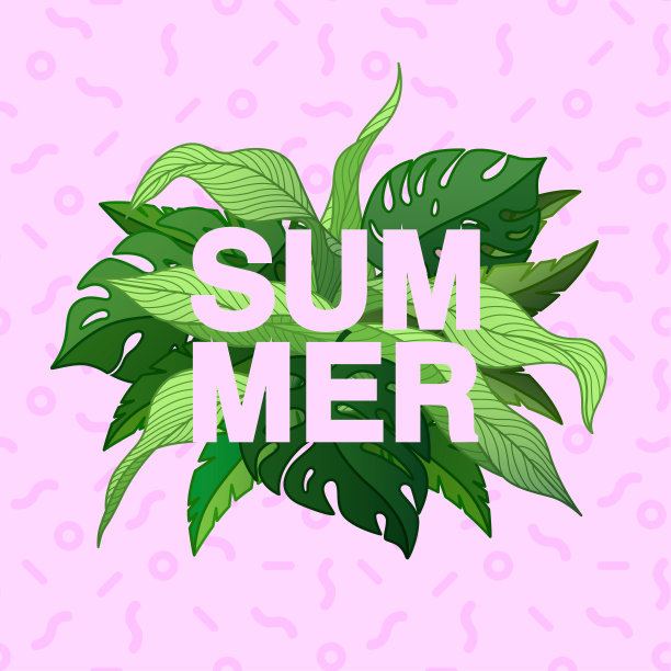 夏季印刷海报与热带树叶和patte图片下载