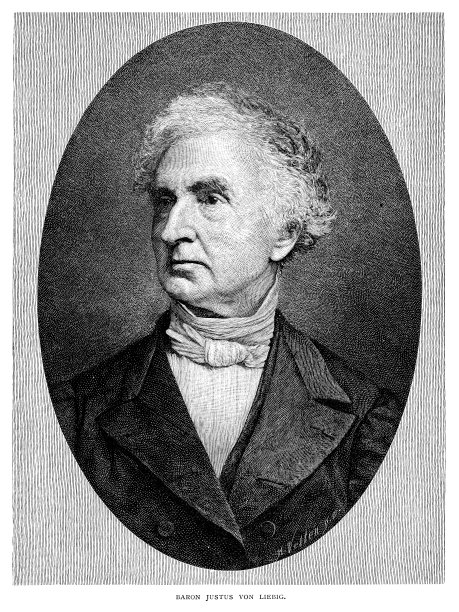 是利比斯托斯男爵图片下载