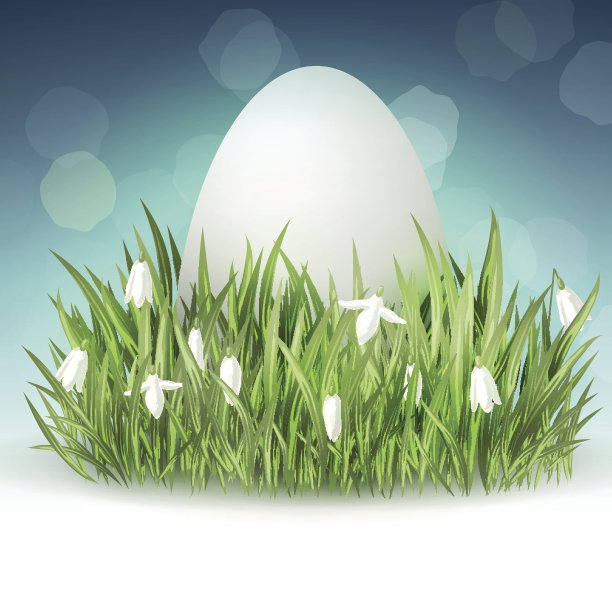 雪花莲图片下载