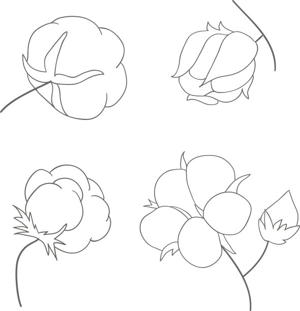 矢量套手绘墨棉植物。棉花图标插图集。可作为标志、标签、贴纸和标志使用。棉花的涂鸦分支。草图。图片下载