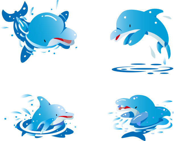 海豚在水面上。图片下载