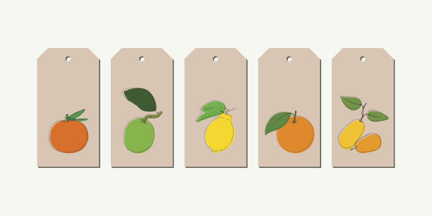 矢量标签设置与复古的颜色手绘柑橘水果。图片下载