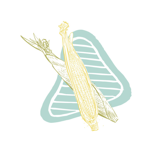 复古风格手绘蔬菜与纹理图片下载