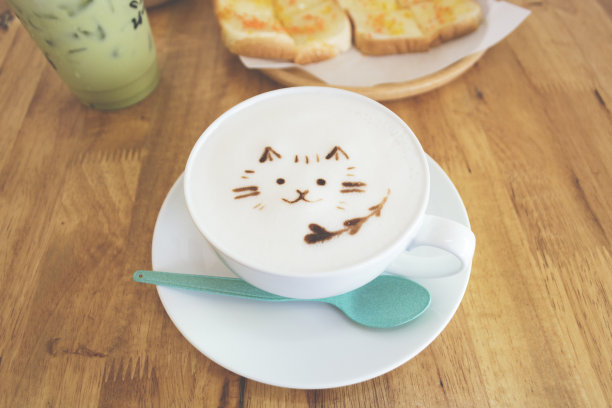 热牛奶泡沫上的猫的形象图片下载