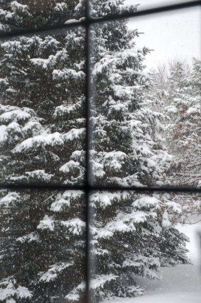 冬天的雪图片下载