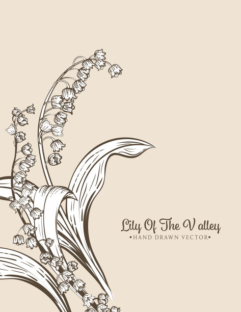 山谷百合邀请书模板图片下载