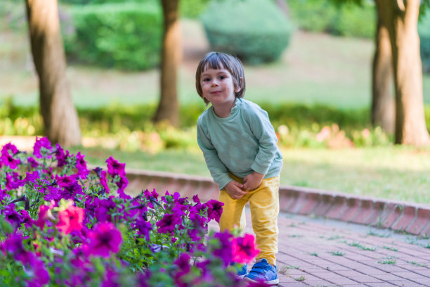 男孩在花园里闻粉红色的郁金香图片下载