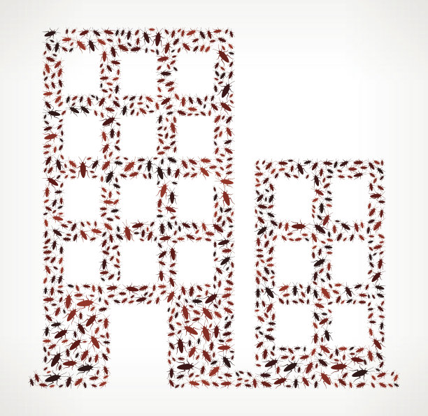 构建蟑螂矢量图标模式图片下载