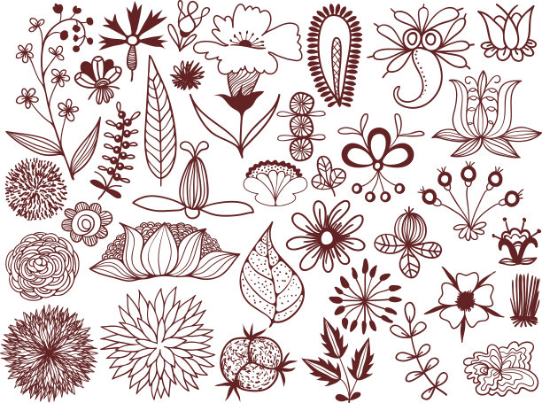 一套斯拉夫花。夏季波兰花卉收集为您的创意设计图片下载