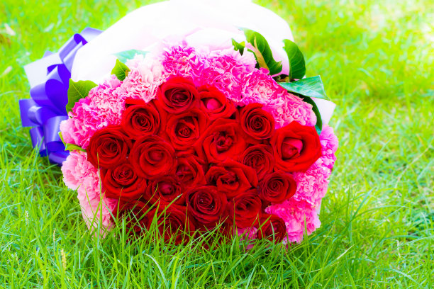 绿草上的红玫瑰图片下载