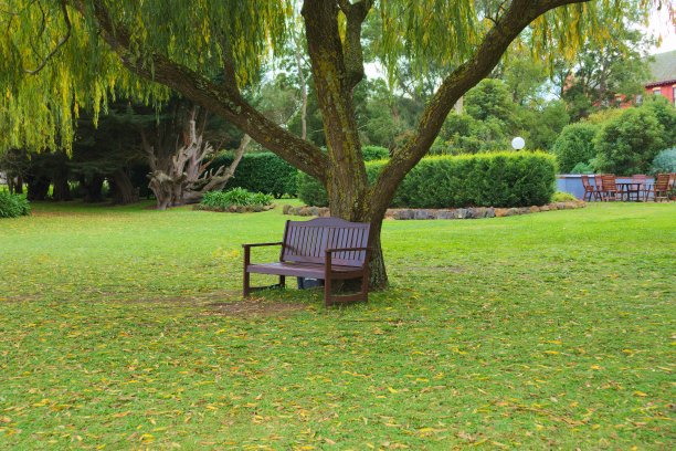 坐在树下图片下载