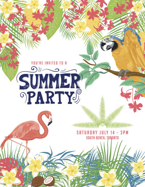 热带植物的背景图片下载