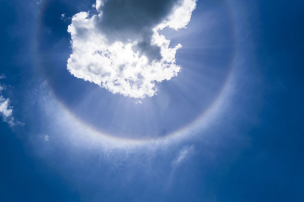 太阳沉香图片下载