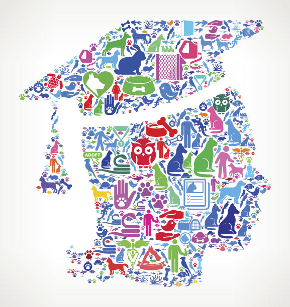 毕业女性宠物和动物矢量图标背景图片下载