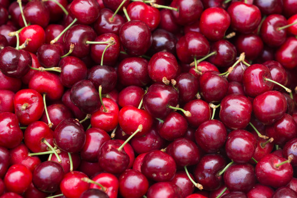 一大群新鲜的樱桃浆果素材图片
