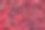 樱桃照片素材ID：307344822