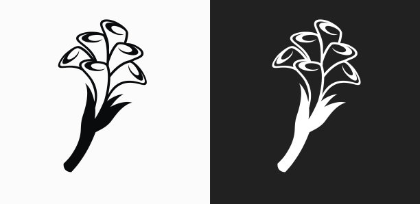 马蹄莲花图标上的黑色和白色矢量背景图片下载