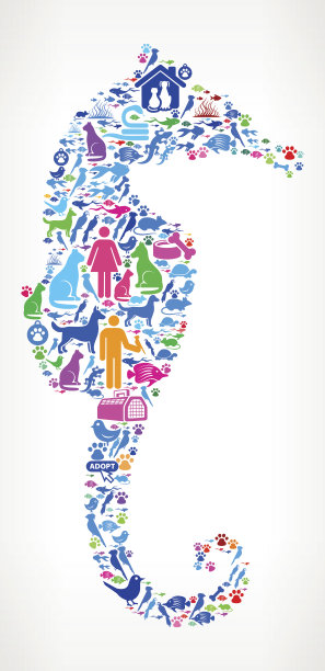 海马宠物和动物矢量图标背景图片下载