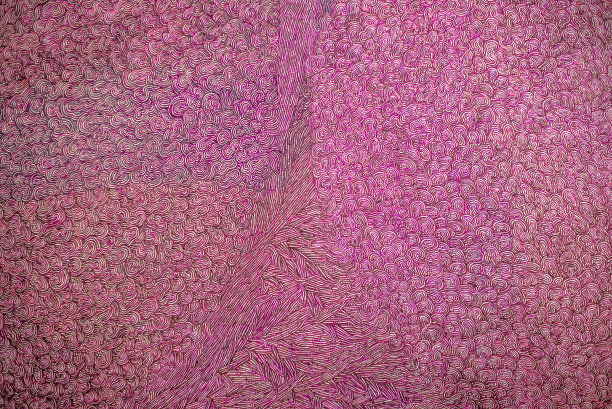 彩色的紫色背景墙纸图片下载