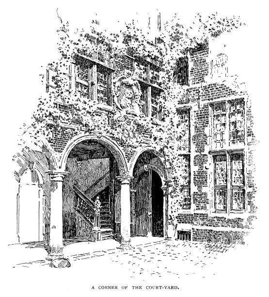 庭院一角图片下载