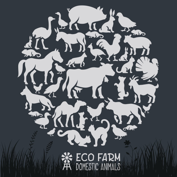 家畜拼贴图片下载