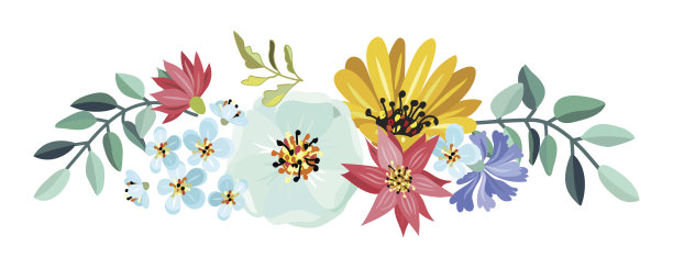 漂亮的花束图片下载