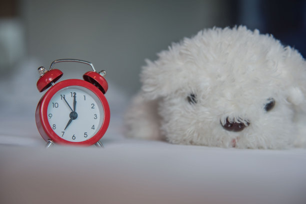 早上床上有一个可爱的白色狗娃娃闹钟图片下载