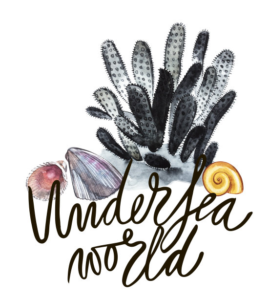 水彩手绘海底世界：海藻、海洋生物和珊瑚图片下载