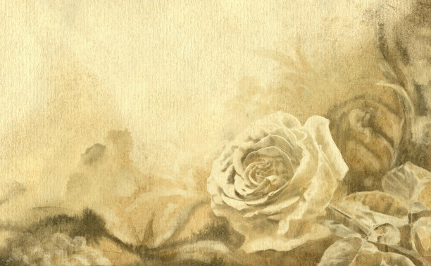 玫瑰水彩背景图片下载